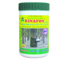 Kinafon 2.5PA